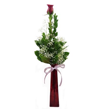 Single Long Stem Rose In Vase