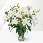 Double Flowering Lilies