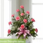 Sincere Thought Spray Feminine