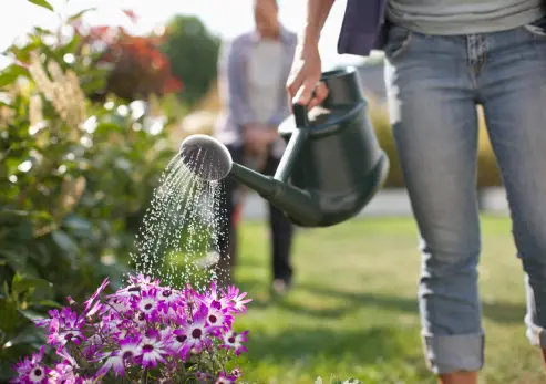 watering the flowers