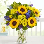 Fields of Europe® Summer