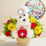 Get Well Flowers For Doggies