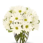 White Daisy Bouquet