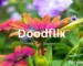 Doodflix