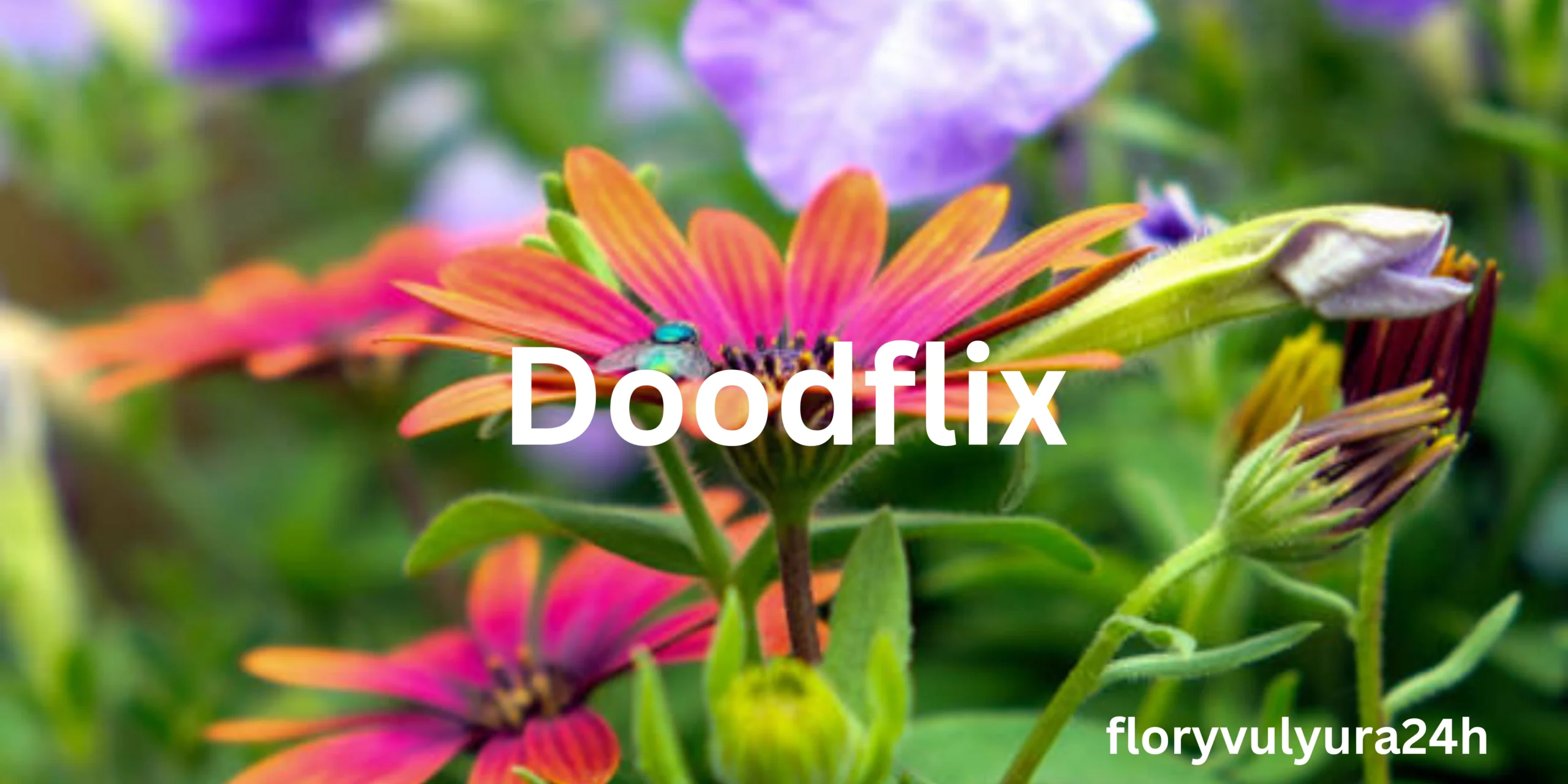 Doodflix