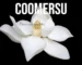 coomersu