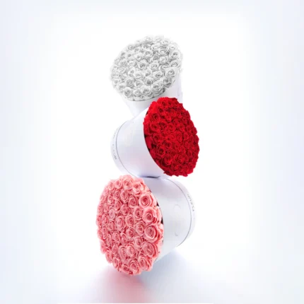42–49 Eternity® Roses