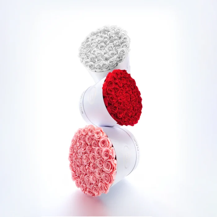 42–49 Eternity® Roses