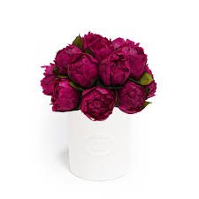 Floryvulyura Porcelain Vase