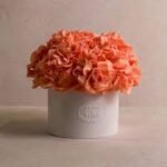 Thalia Porcelain Vase