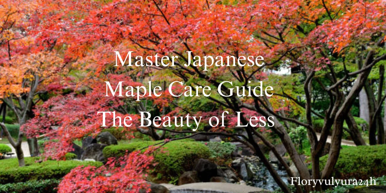 Master Japanese Maple Care Guide The Beauty of Less 