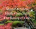 Master Japanese Maple Care Guide The Beauty of Less 