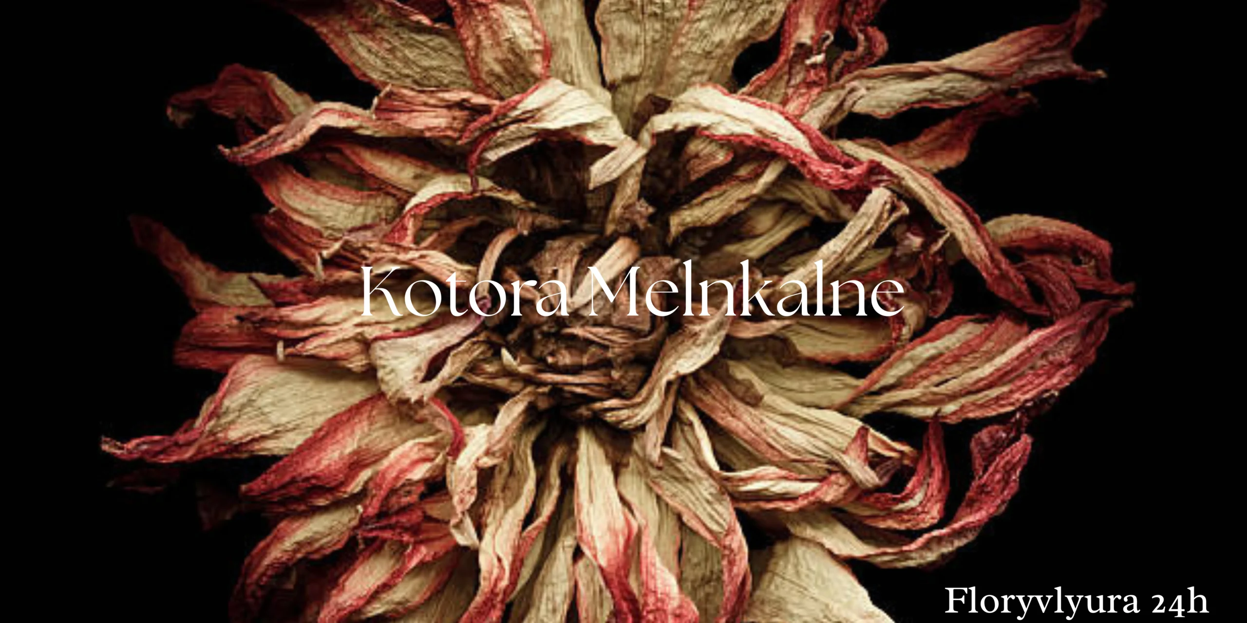 Kotora Melnkalne