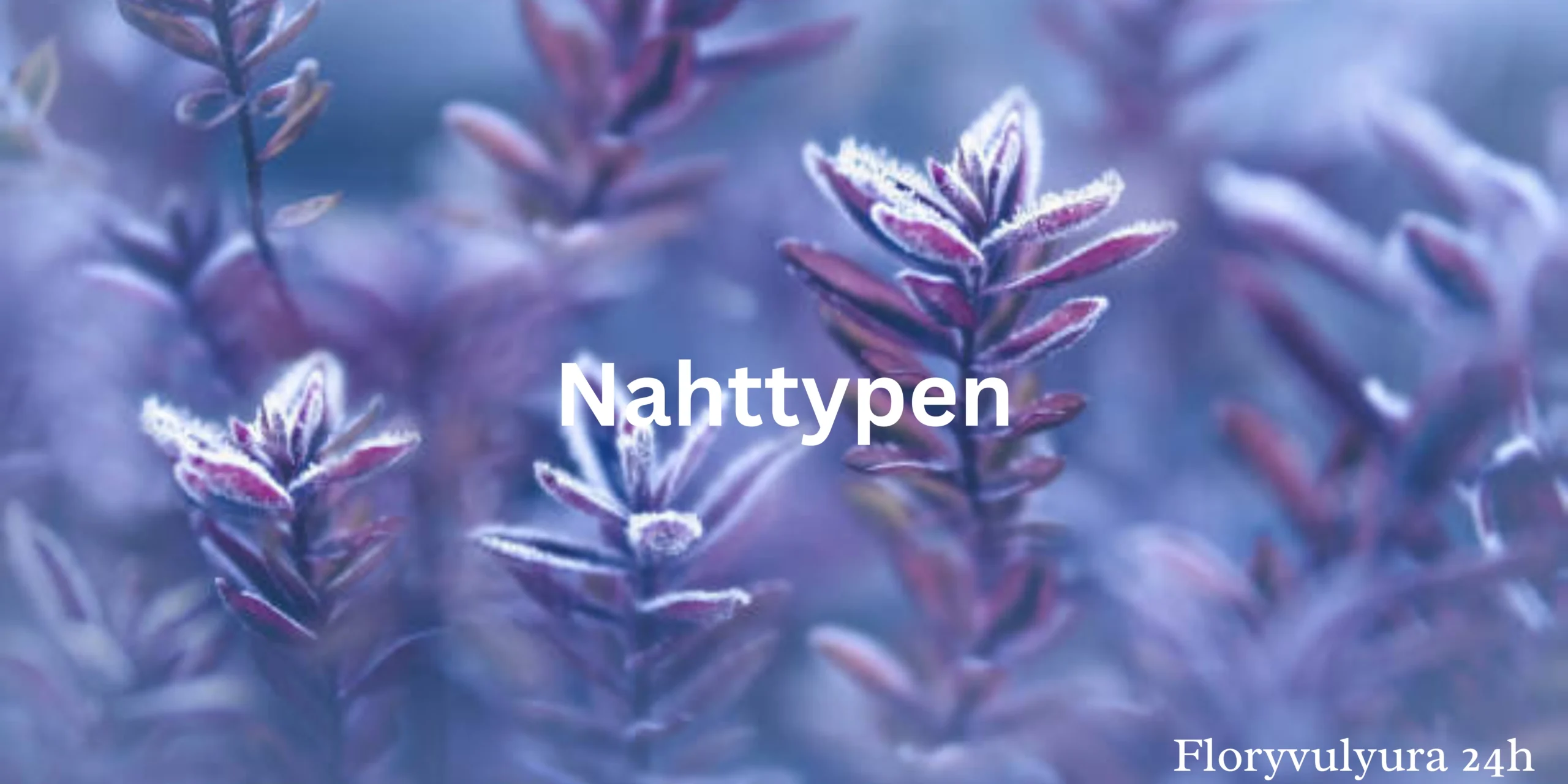 Nahttypen
