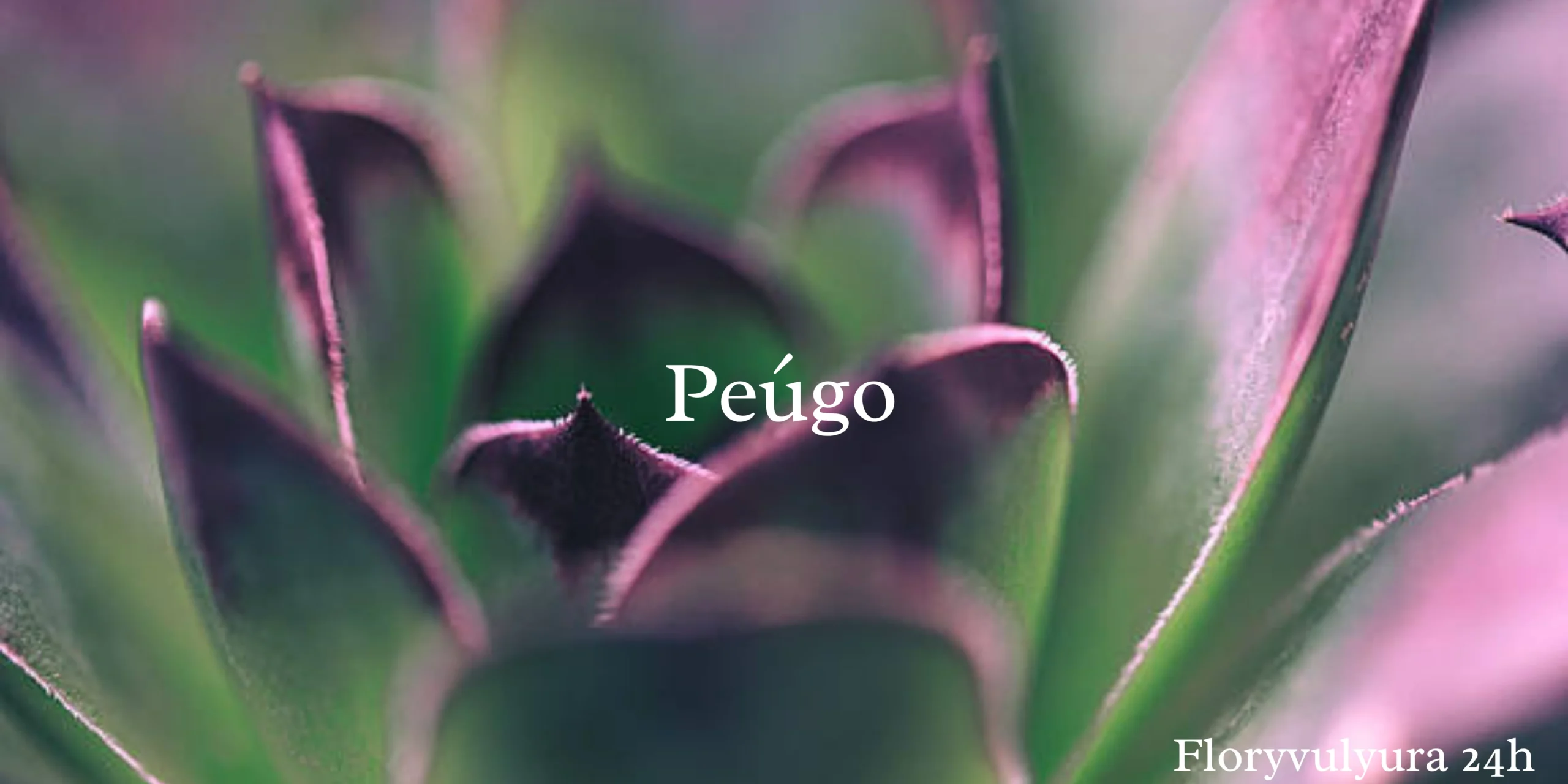 The unordinary Peúgo A Champion of Plant Adaptation