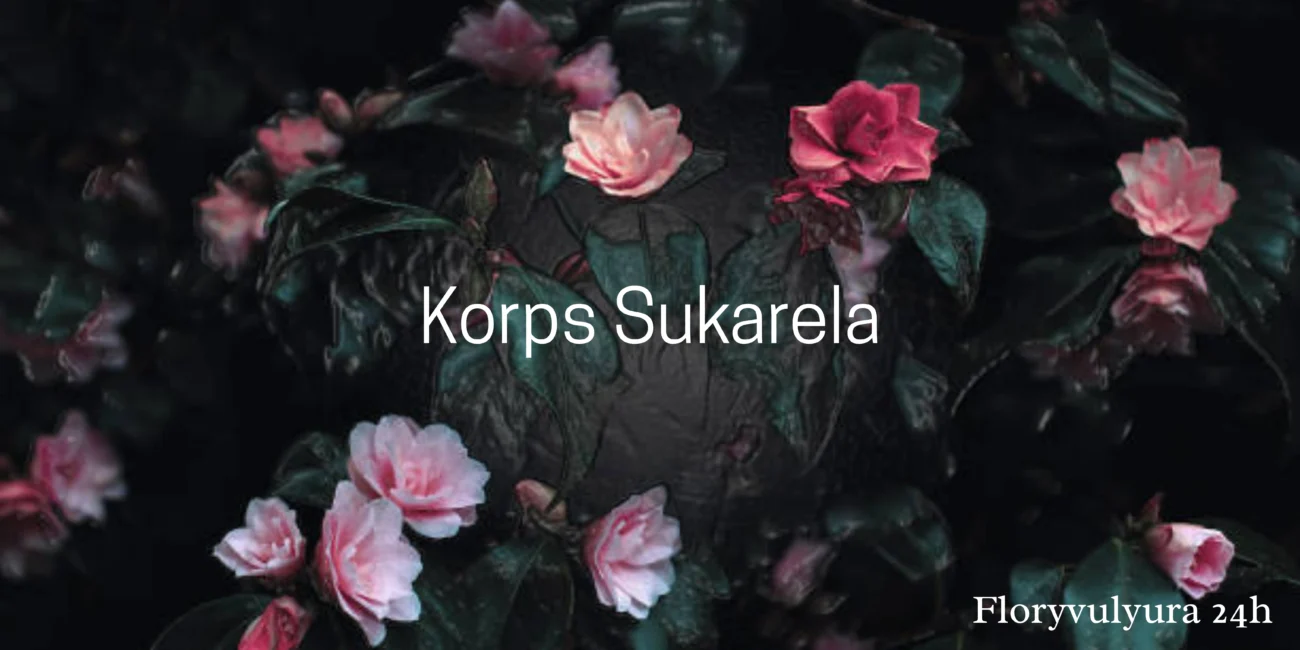 Korps Sukarela
