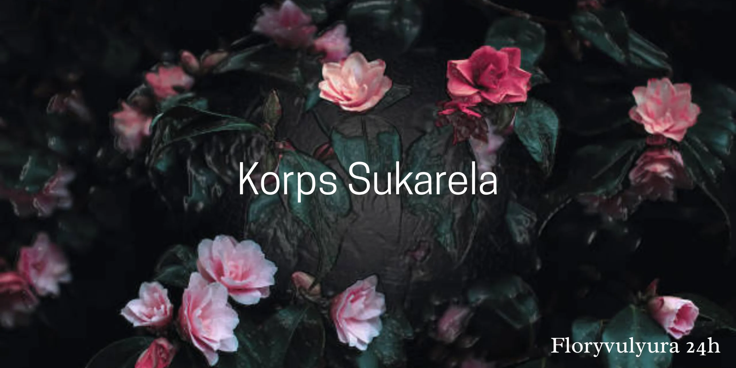Korps Sukarela