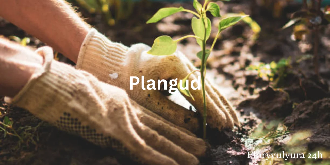 Plangud