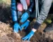 Crawl Space Repairs