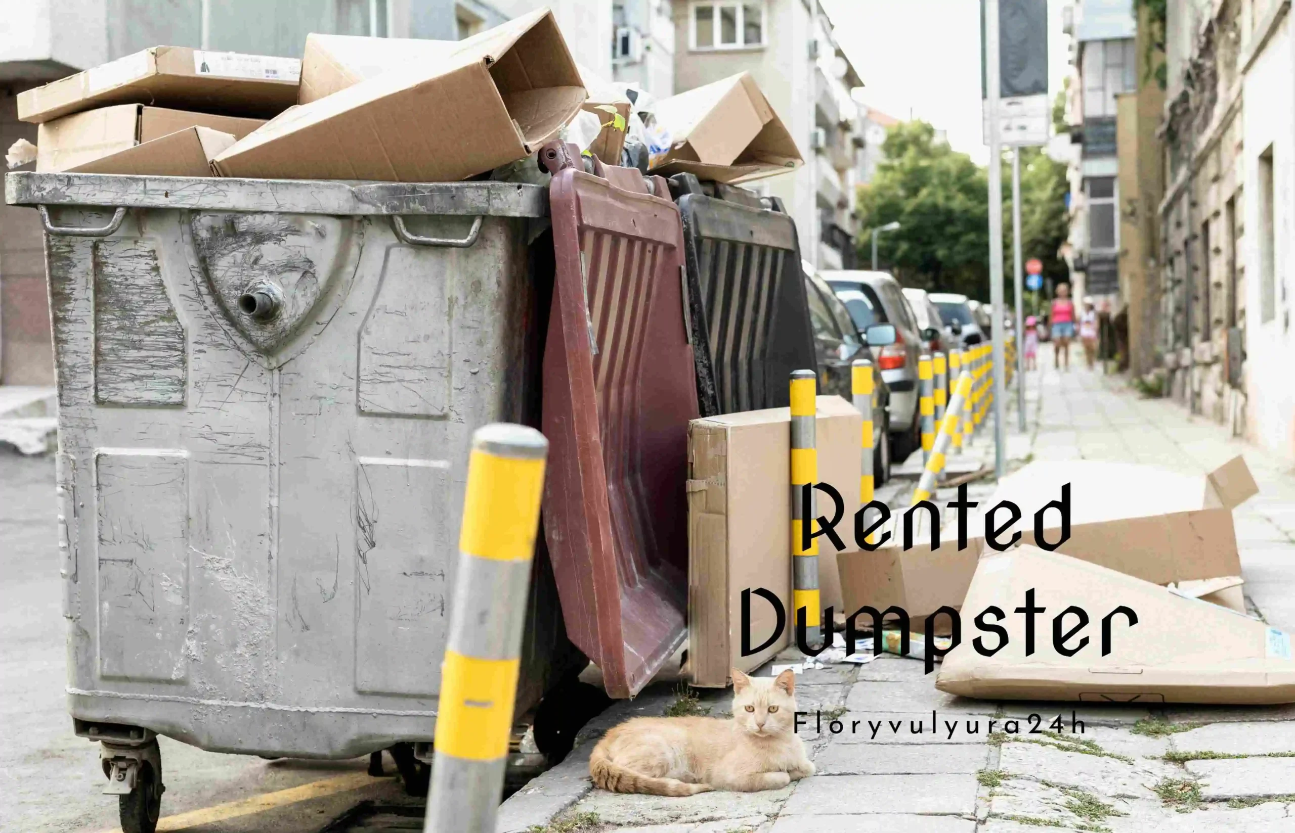 Rented Dumpster