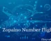 Zopalno Number Flight